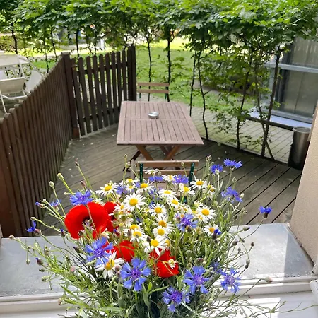 Mooeve Boxi